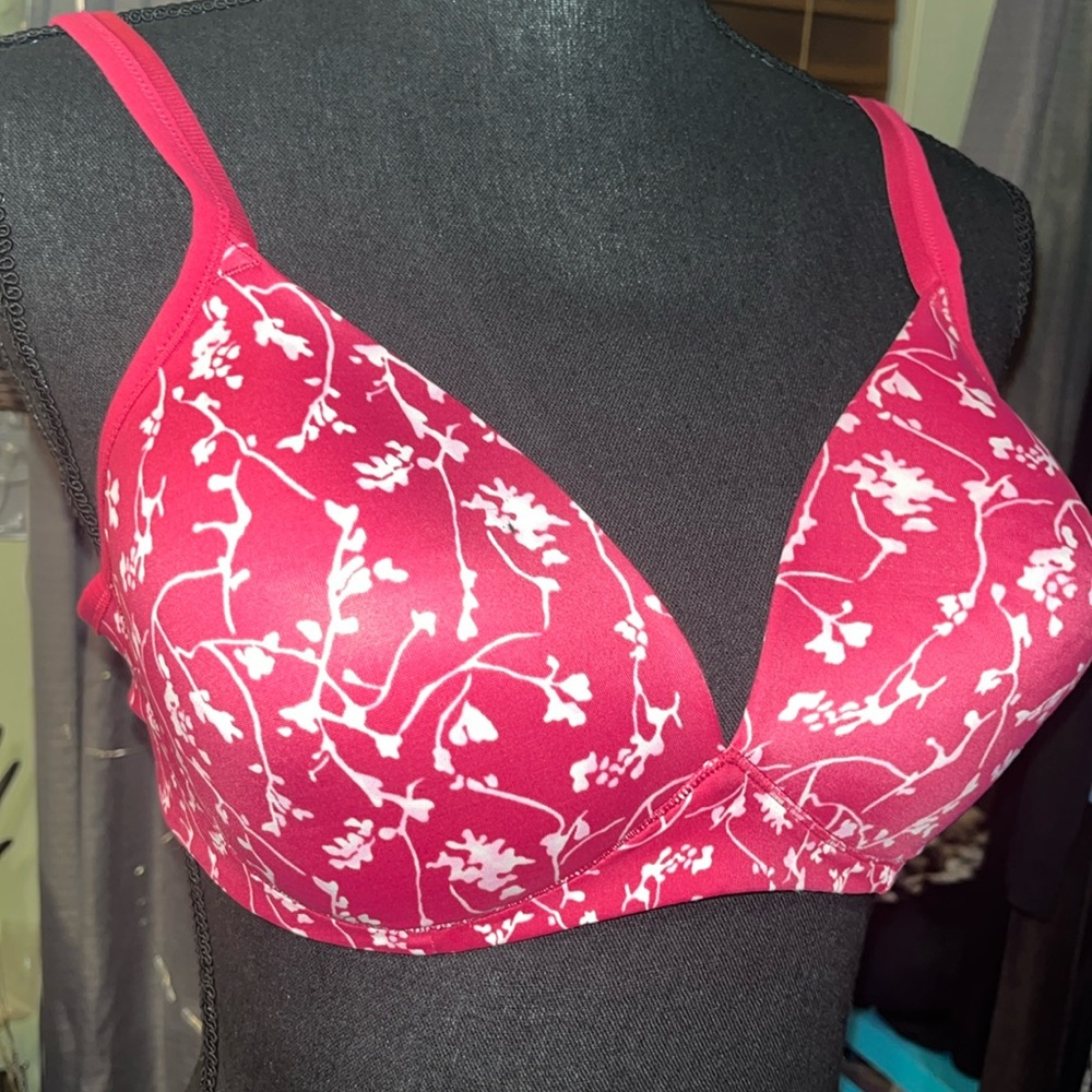#142-EUC Warner’s 38C bra modern design, no underwires, thin padding